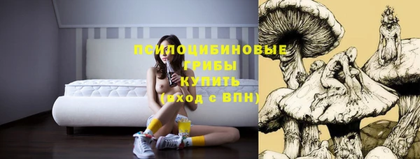 ешки Михайловск
