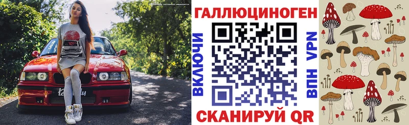 Галлюциногенные грибы Psilocybe  Купить  Кинель 
